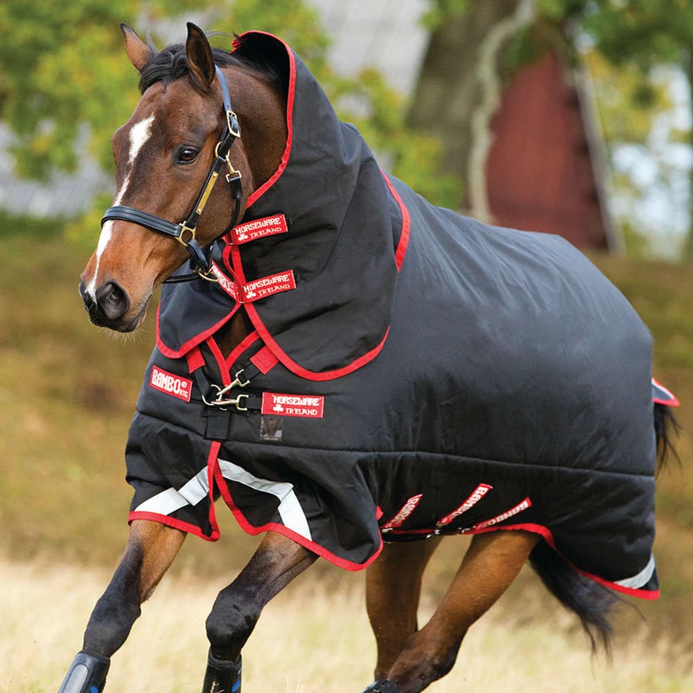 Getting Ready For Winter; Choosing The Right Rugs For Your Horse