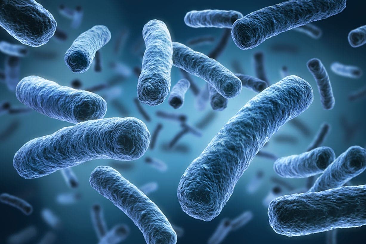 Legionella Risk