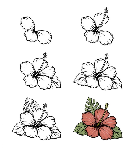 How to Draw a Hawaiian Flower A Step-by-Step Manual